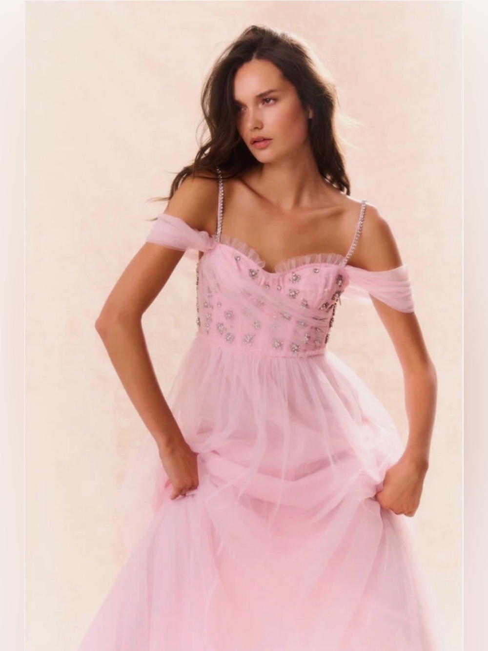 LoveShackFancy Dantine Ballet Embellished Tulle Evening Gown Maxi Dress S 14